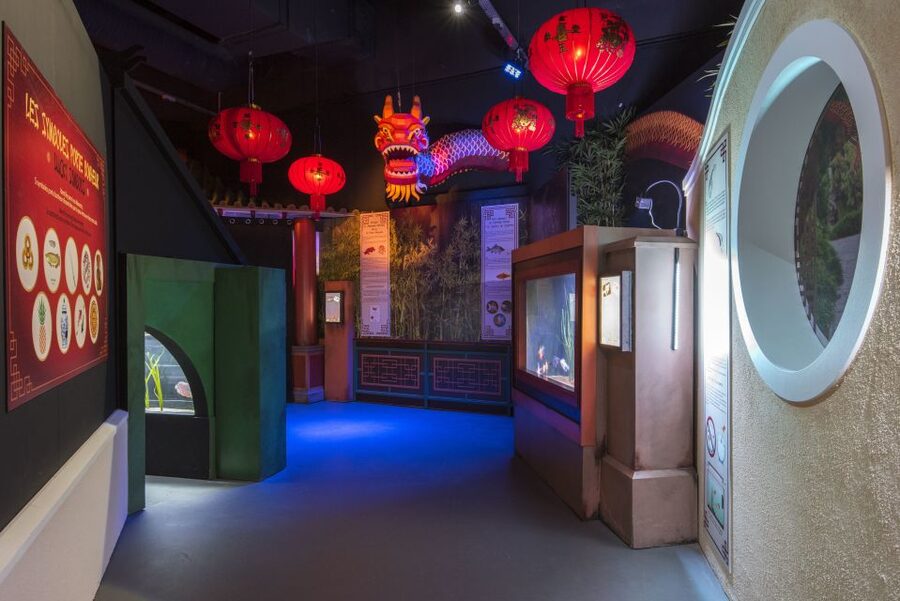 SEA LIFE Paris: Admission Ticket - The new Asia themed zone
