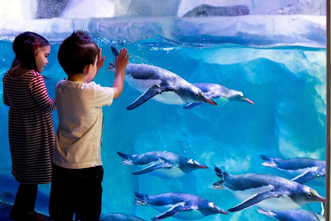 SEA LIFE Paris Val d'Europe Aquarium Entry Ticket - Key points before you book