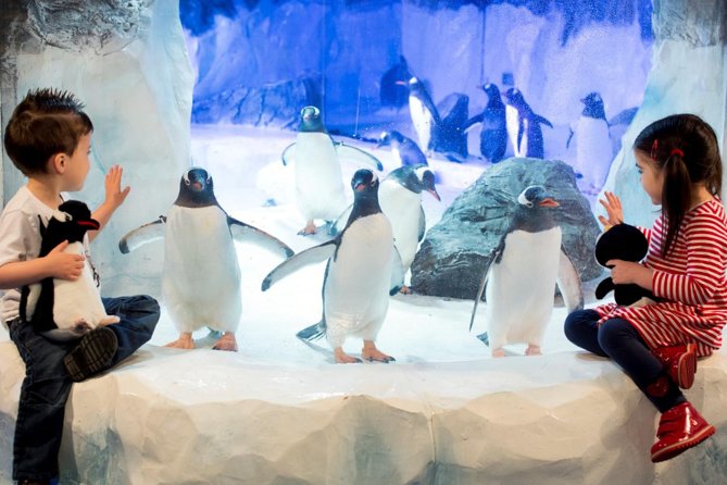 SEA LIFE Paris Val d'Europe Aquarium Entry Ticket - Touch pools and small coastal creatures