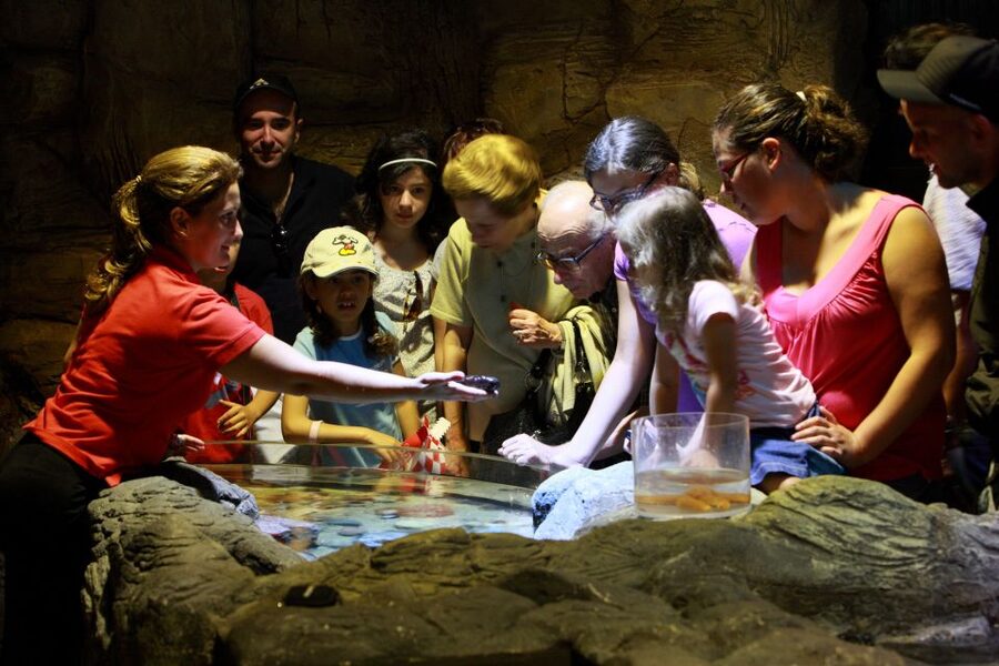 SEA LIFE Porto Full-Day Entrance Ticket - Taking a break with Atlantic views