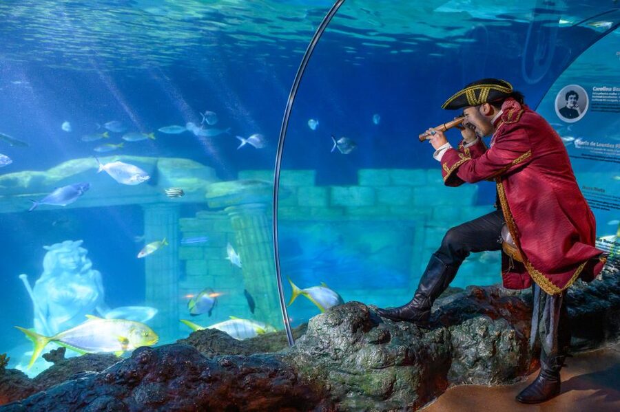 SEA LIFE Porto Full-Day Entrance Ticket - Seeing the cow-faced rays and larger marine life