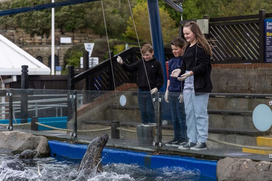 Sea Life Scarborough - How much time should you allow?