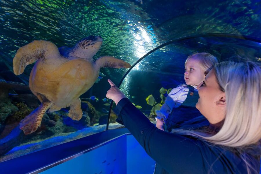 Sea Life Scarborough - Starting at North Bay in Scarborough