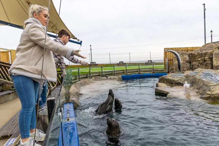 Sea Life Scarborough - Talks, feeding times, and the Dive Adventure Quiz trail