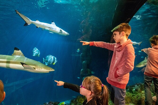 SEA LIFE Speyer Admission Ticket - Key points to know before you go