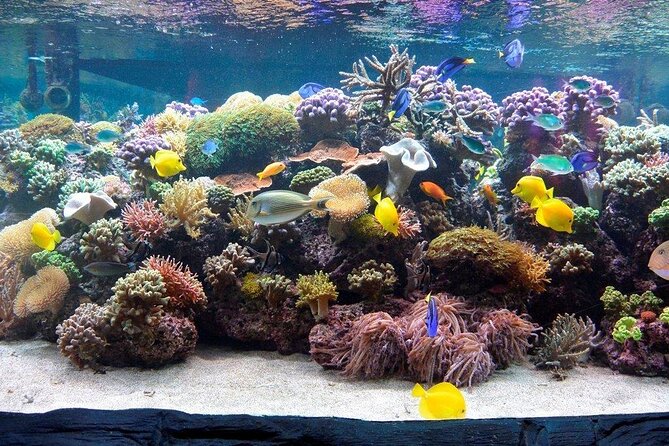 SEA LIFE Speyer Admission Ticket - What SEA LIFE Speyer is really like