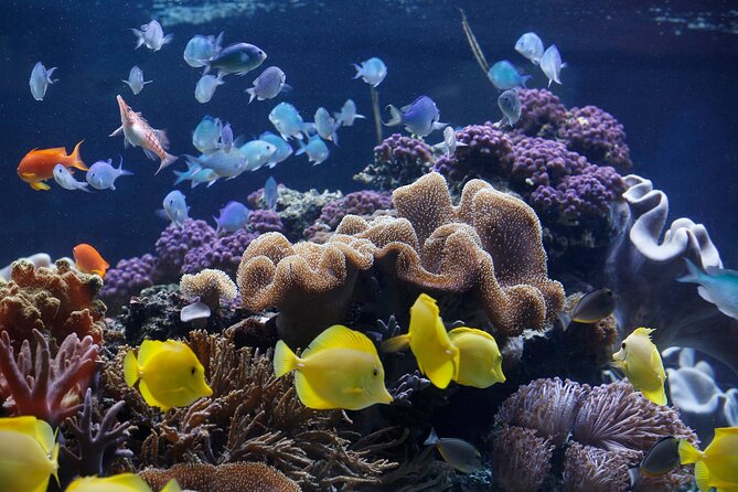 SEA LIFE Speyer Admission Ticket - Starting with Lake Constance, Loreley Rock, and the North Sea