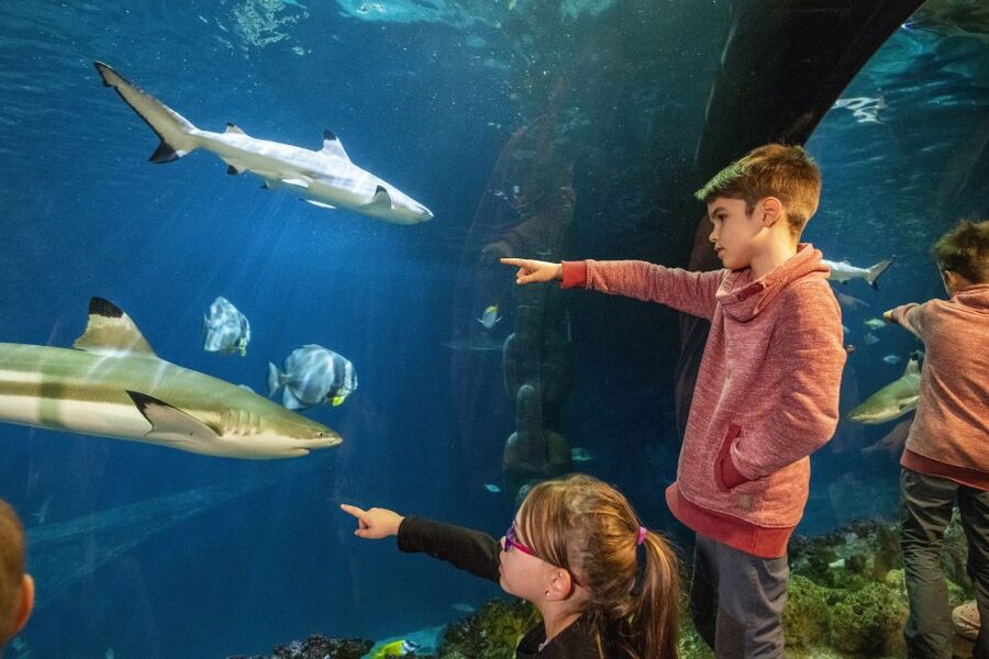 Sea Life Speyer Ticket - Key Things to Know Before You Go