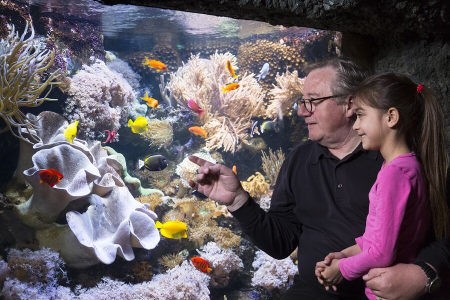 Sea Life Speyer Ticket - How Long You Should Plan to Stay