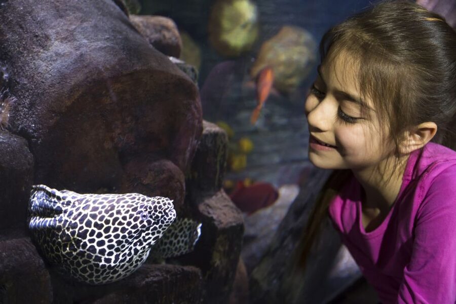 Sea Life Speyer Ticket - Is $22 a Fair Price?