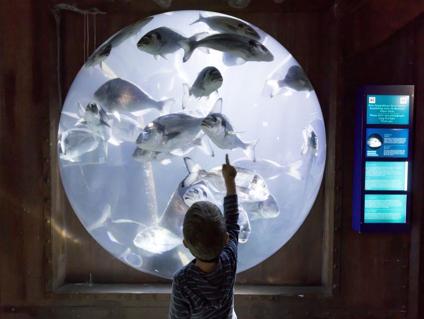 Sea Life Speyer Ticket - Getting There Without a Parking Headache