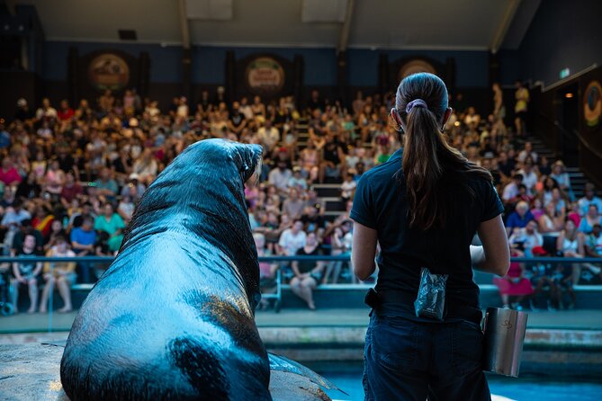 SEA LIFE Sunshine Coast Aquarium Entrance Ticket - Key things to know before you go