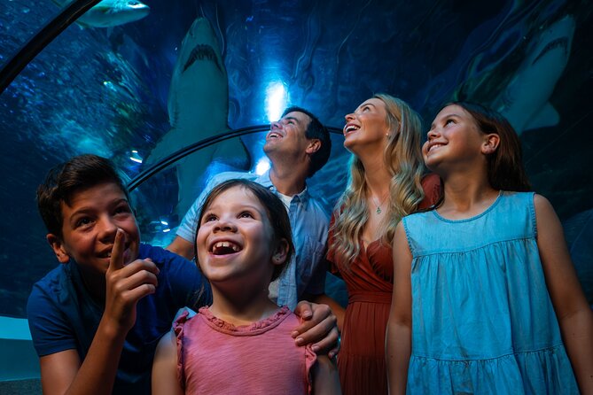 SEA LIFE Sunshine Coast Aquarium Entrance Ticket - Fresh and Freaky, Turtle Temple, and Jellyfish Kingdom