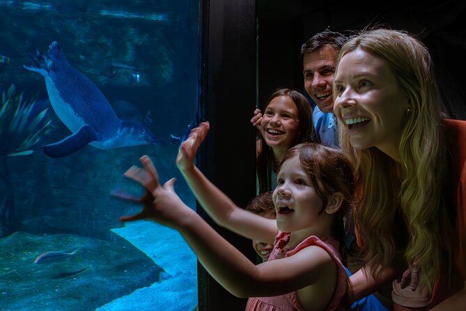 SEA LIFE Sunshine Coast Aquarium Entrance Ticket - Seal, ray, and jellyfish talks add structure