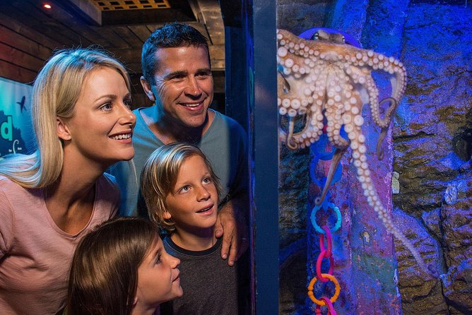 SEA LIFE Sunshine Coast Aquarium Entrance Ticket - Start with the ocean tunnel and Shark Shipwreck