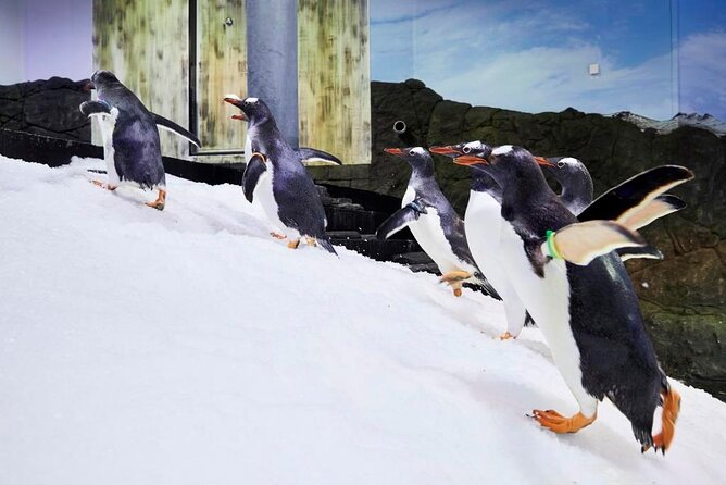 SEA LIFE Sydney Aquarium Entrance Ticket - Getting started at Darling Harbour