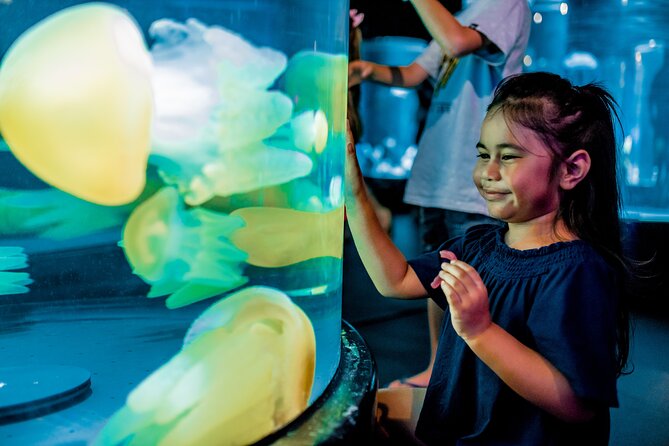 SEA LIFE Sydney Aquarium Entrance Ticket - Sydney Harbour and South Coast Shipwreck