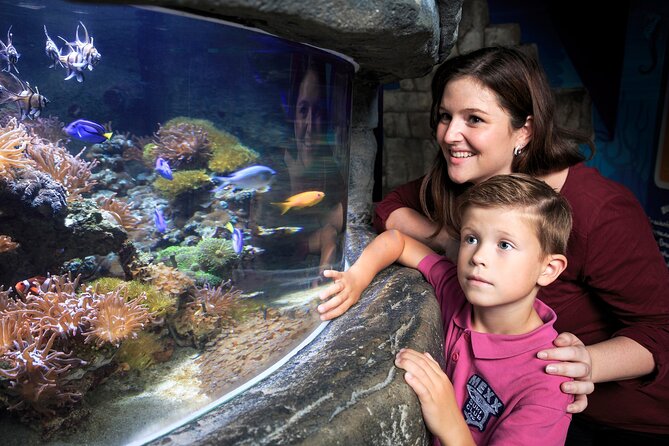SEA LIFE Timmendorfer Strand Admission Ticket - Rainforest creatures add welcome variety