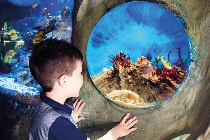 SEA LIFE Timmendorfer Strand Admission Ticket - Animal welfare concerns worth considering