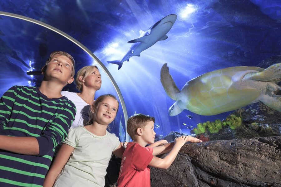 SEA LIFE Timmendorfer Strand Ticket - Key points to know before you go