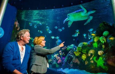 SEA LIFE Timmendorfer Strand Ticket
