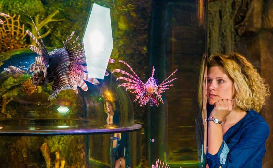 SEA LIFE Timmendorfer Strand Ticket - Rainforest plants, boa constrictors, and a change of pace