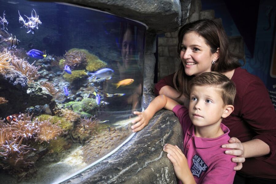 SEA LIFE Timmendorfer Strand Ticket - Is the $20 ticket good value?