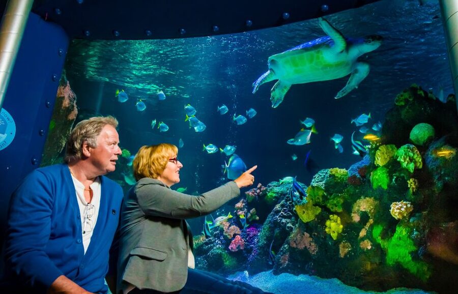 SEA LIFE Timmendorfer Strand Ticket - From local waters to tropical oceans