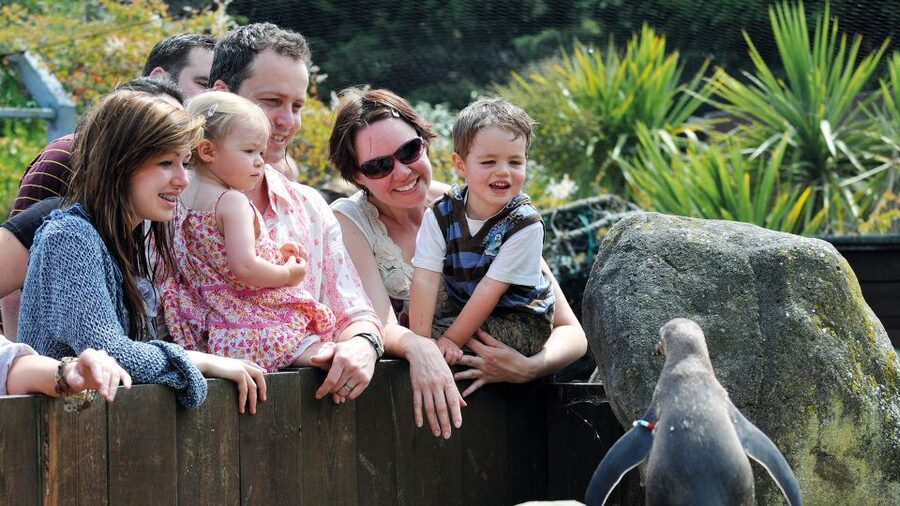 Sea Life Weymouth Admission Ticket - Price, inclusions, and overall value