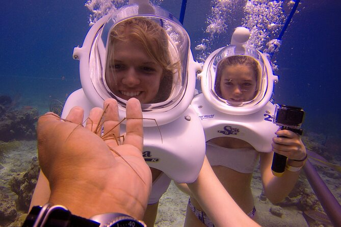 Sea Trek Helmet Dive at Coral World Ocean Park - Photos, comfort, and small practical surprises