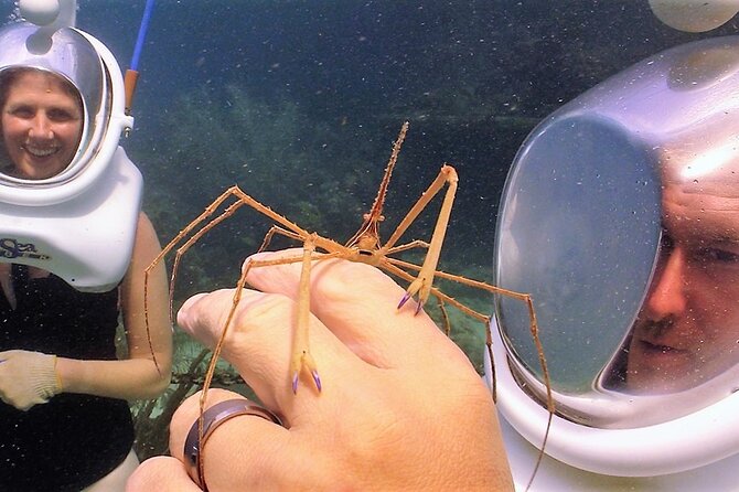 Sea Trek Helmet Dive at Coral World Ocean Park - Who should book Sea Trek?