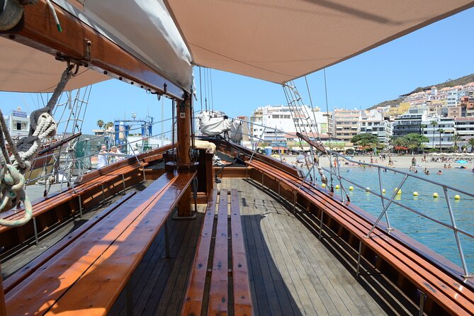 Sealife Dolphin & Whale Watching aboard Portuguese schooner - Setting Sail from Los Cristianos at 10:00 am