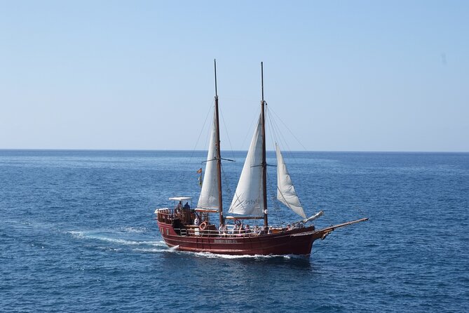 Sealife Dolphin & Whale Watching aboard Portuguese schooner - Searching for Pilot Whales and Dolphins