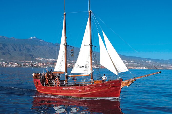 Sealife Dolphin & Whale Watching aboard Portuguese schooner - How Long Is the Experience?