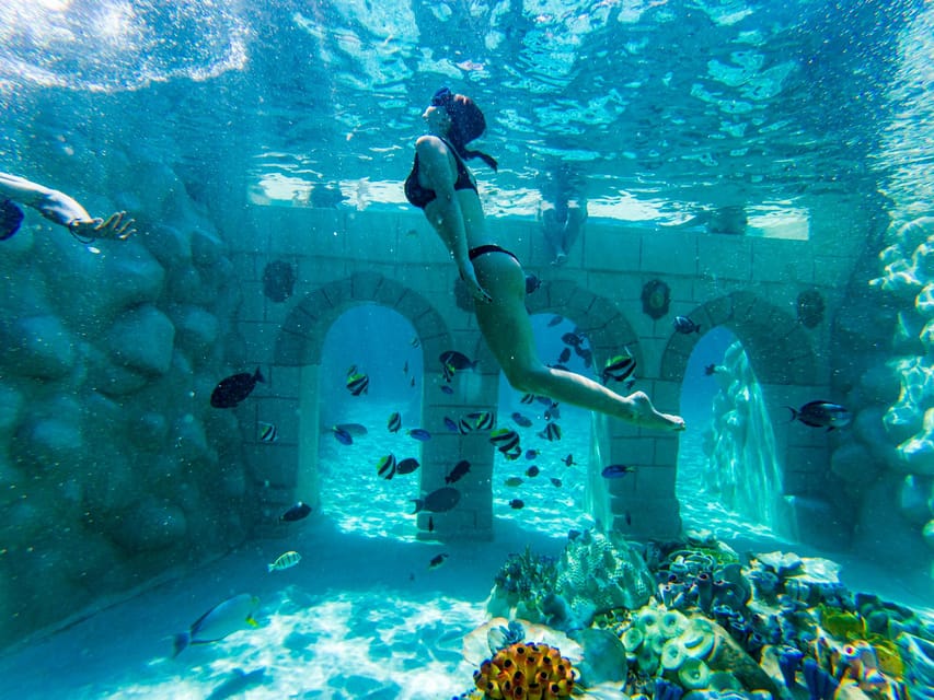 Seapark: Swimming in Pool Aquarium with Authentic Creatures - Key points to know before you book