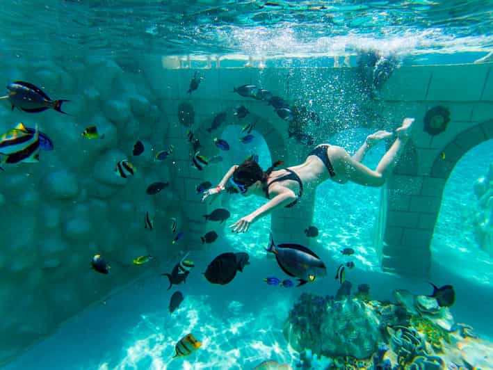 Seapark: Swimming in Pool Aquarium with Authentic Creatures - Finding Atlantis beneath the surface