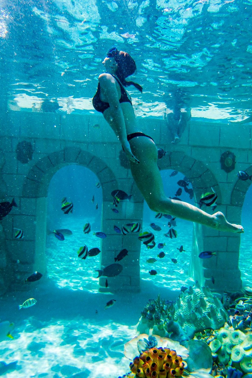 Seapark: Swimming in Pool Aquarium with Authentic Creatures - Meeting the giant rays