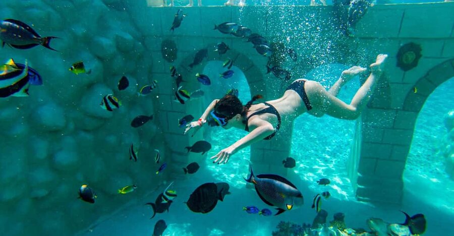 Seapark: Swimming in Pool Aquarium with Authentic Creatures - Looking at sharks from a protected cage