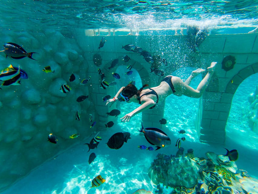 Seapark: Swimming in Pool Aquarium with Authentic Creatures - Cooling off in the freshwater areas