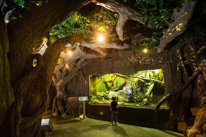 Seville Aquarium Admission Ticket - How Long Should You Allow?