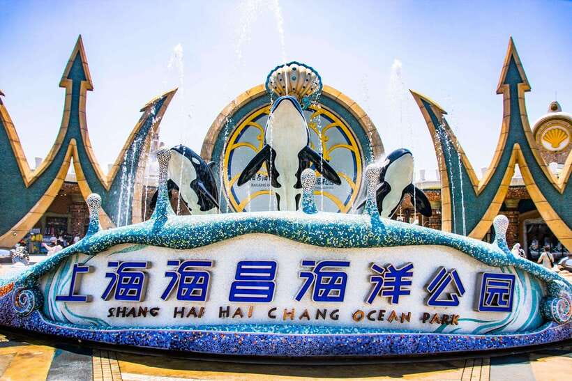Shanghai: Haichang Ocean Park Adult Ticket - The Orca Science Show and animal presentations