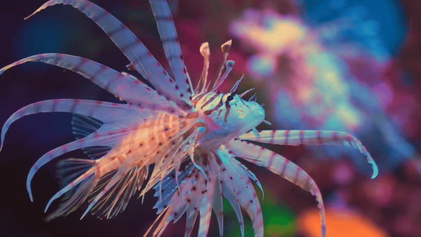 Shanghai: The Marine Wonders at Shanghai Ocean Aquarium - Key points to know before you go