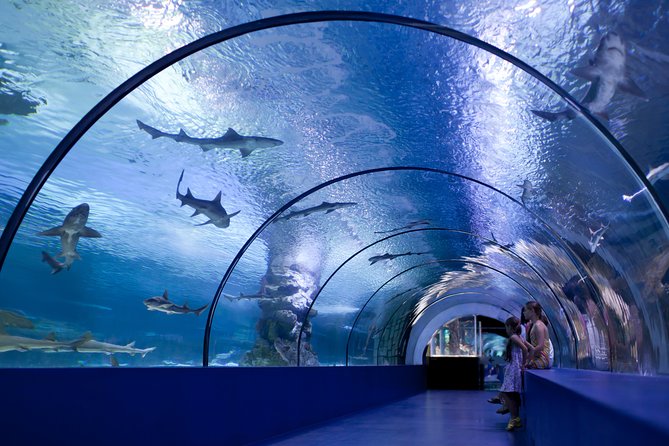 Side: Antalya Aquarium Ticket With Optional Transfer - What this Antalya Aquarium experience actually includes