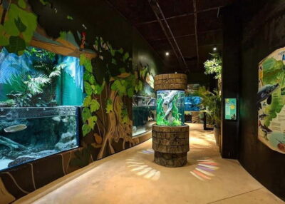 Siem Reap: Angkor Wildlife & Aquarium Entrance Ticket