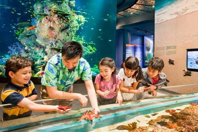 Singapore: Singapore Oceanarium Entrance E-Ticket - Living Oceans puts the subject in front of you