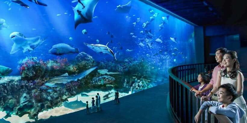 Singapore: Singapore Oceanarium Entrance E-Ticket - Who will enjoy this most?