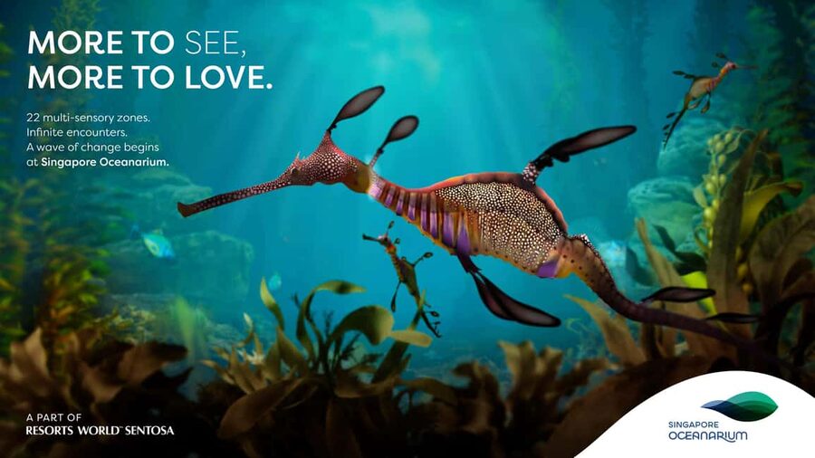 Singapore: Singapore Oceanarium Entrance Ticket - Arriving at Resorts World Sentosa