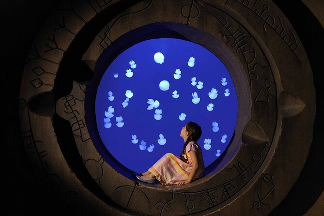 Skip The Line : Atlantis Lost Chambers Aquarium - Key points to know before you go