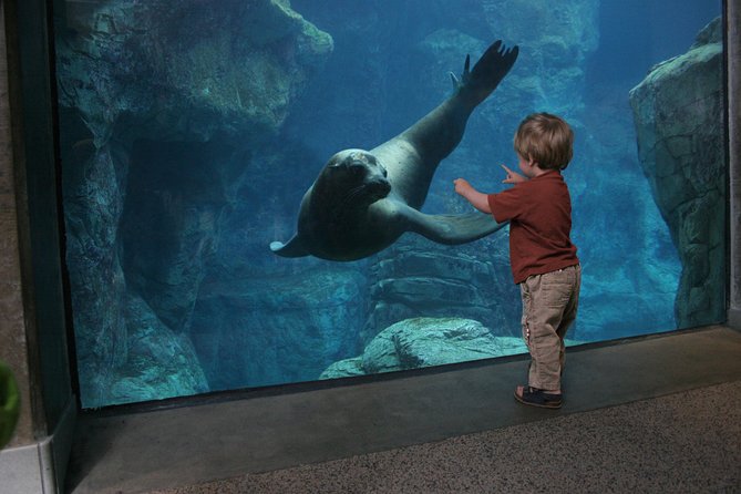Skip the Ticketing Line: Aquarium of the Pacific General Admission Ticket - How much time should you allow?