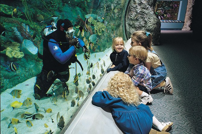 Skip the Ticketing Line: Aquarium of the Pacific General Admission Ticket - Three Pacific regions under one roof